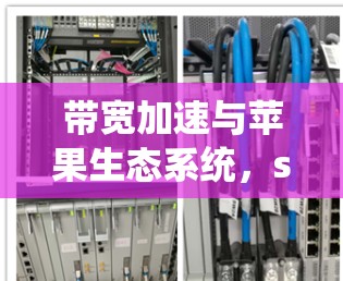 带宽加速与苹果生态系统,sub网络加速器的未来解决方案 带宽加速与苹果生态系统,sub网络加速器的未来解决方案