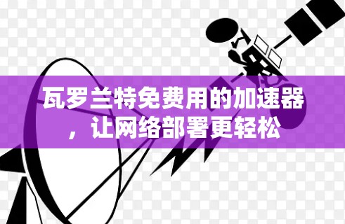 瓦罗兰特免费用的加速器，让网络部署更轻松