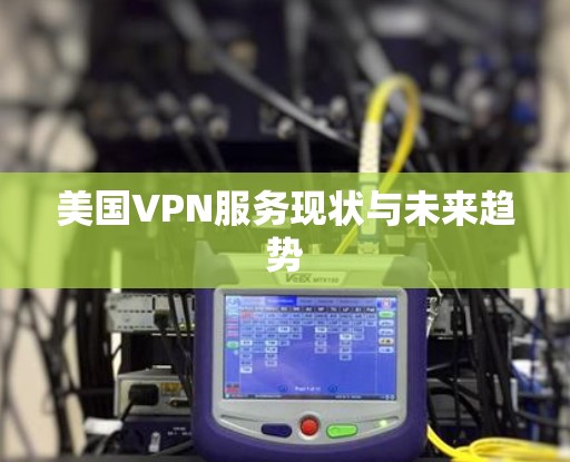 美国VPN服务现状与未来趋势