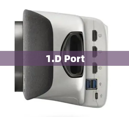 1.D Port