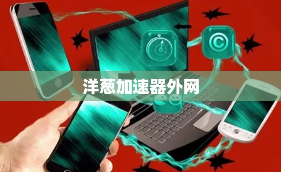 洋葱加速器外网 洋葱加速器外网