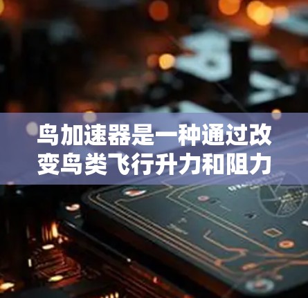 鸟加速器是一种通过改变鸟类飞行升力和阻力的装置,旨在提升飞行速度和效率。以下是对鸟加速器的详细介绍 鸟加速器是一种通过改变鸟类飞行升力和阻力的装置,旨在提升飞行速度和效率。以下是对鸟加速器的详细介绍