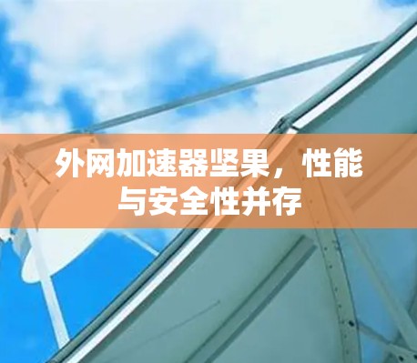 外网加速器坚果,性能与安全性并存 外网加速器坚果,性能与安全性并存
