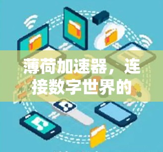 薄荷加速器,连接数字世界的创新解决方案 薄荷加速器,连接数字世界的创新解决方案