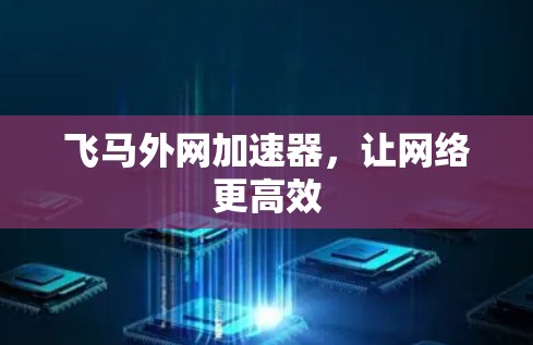 飞马外网加速器,让网络更高效 飞马外网加速器,让网络更高效