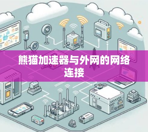 熊猫加速器与外网的网络连接