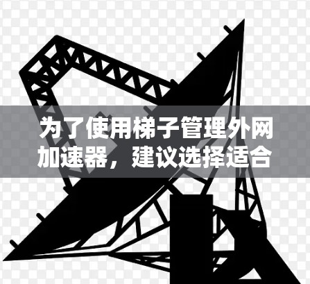 为了使用梯子管理外网加速器，建议选择适合梯子功能的加速工具。以下是具体的步骤建议
