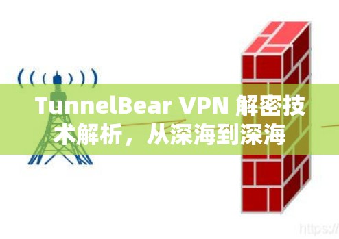 TunnelBear VPN 解密技术解析，从深海到深海