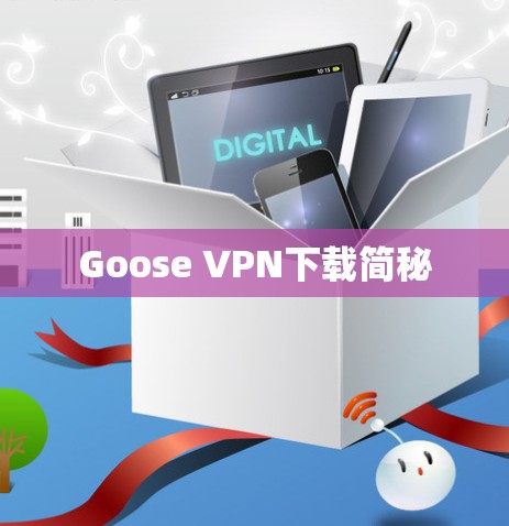 Goose VPN下载简秘