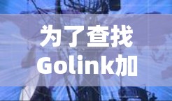 为了查找Golink加速器的官网，可以按照以下步骤进行