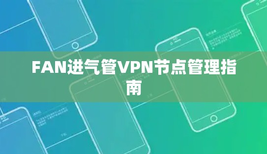 FAN进气管VPN节点管理指南