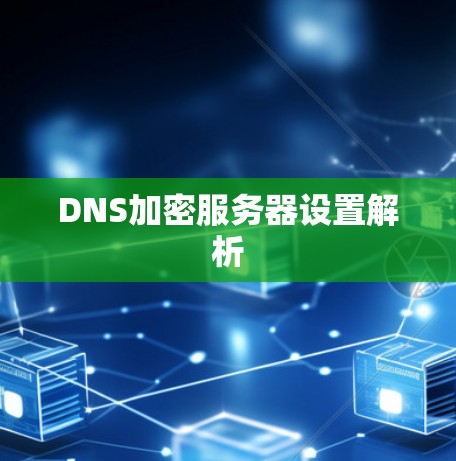 DNS加密服务器设置解析