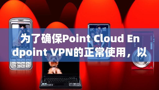 为了确保Point Cloud Endpoint VPN的正常使用，以下是一个步骤指南