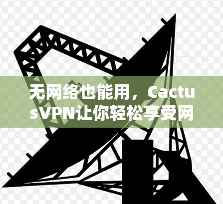 无网络也能用，CactusVPN让你轻松享受网络乐趣