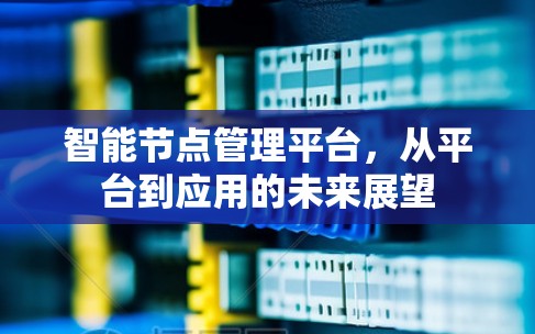 智能节点管理平台，从平台到应用的未来展望