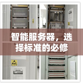 智能服务器，选择标准的必修课