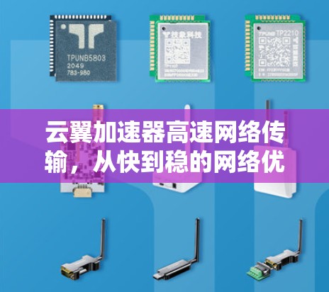 云翼加速器高速网络传输，从快到稳的网络优化解决方案