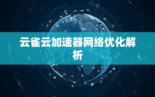 云雀云加速器网络优化解析