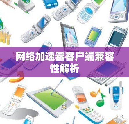 网络加速器客户端兼容性解析
