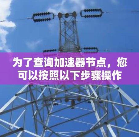 为了查询加速器节点，您可以按照以下步骤操作