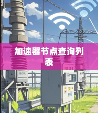 加速器节点查询列表