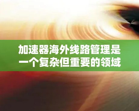 加速器海外线路管理是一个复杂但重要的领域，涉及多个方面。以下是对该主题的分步解释
