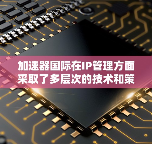 加速器国际在IP管理方面采取了多层次的技术和策略，以保护数据和知识产权。以下是其主要措施的总结和分析