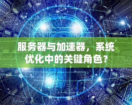 服务器与加速器，系统优化中的关键角色？