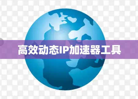 高效动态IP加速器工具