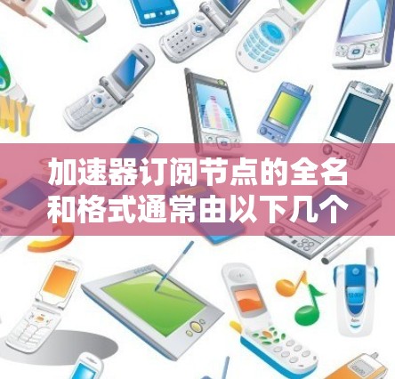 加速器订阅节点的全名和格式通常由以下几个部分组成，用于标识和管理不同功能和配置的节点