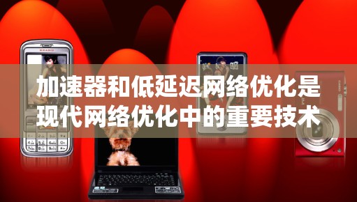 加速器和低延迟网络优化是现代网络优化中的重要技术，它们在提升网络性能和效率方面发挥着关键作用。以下是对这两个概念的系统梳理