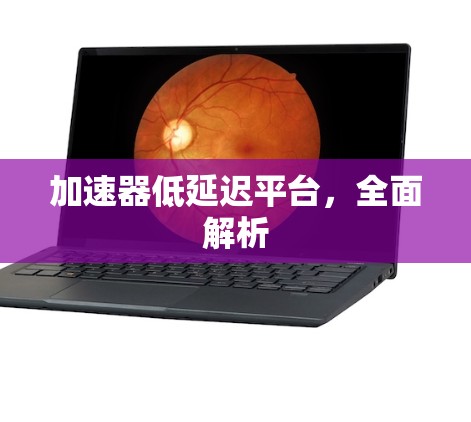 加速器低延迟平台，全面解析
