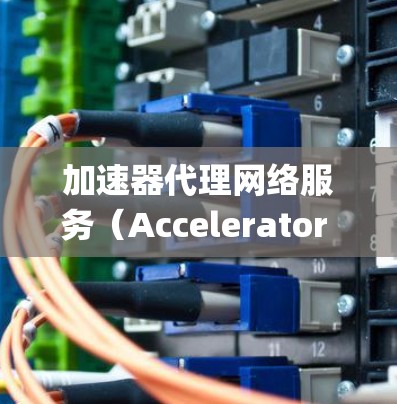 加速器代理网络服务（Accelerator Assignment Network Service）是一个技术术语，主要指一种结合了加速器和网络服务的系统。以下是对其的详细解释