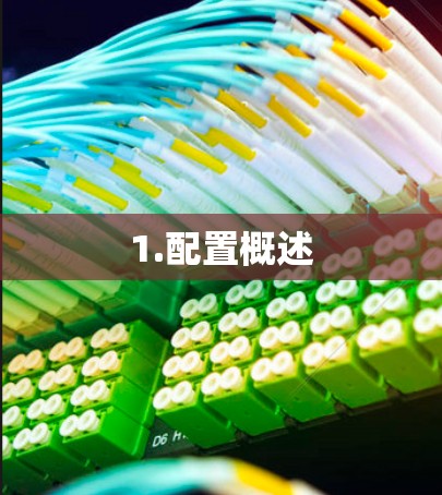 1.配置概述