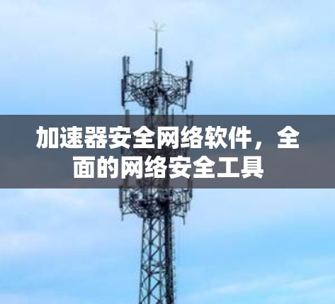 加速器安全网络软件，全面的网络安全工具