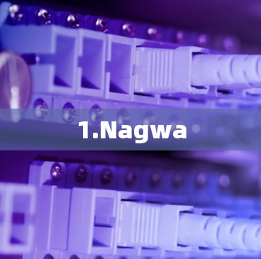 1.Nagwa