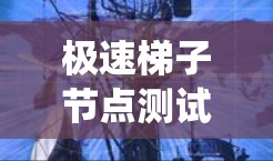 极速梯子节点测试是一种高级的系统资源测试工具，主要用于评估系统在多线程、并发和网络环境下的性能和稳定性。以下是对极速梯子节点测试的详细总结