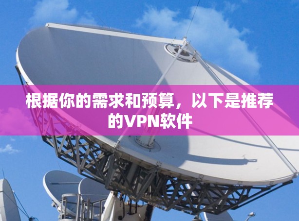 根据你的需求和预算，以下是推荐的VPN软件