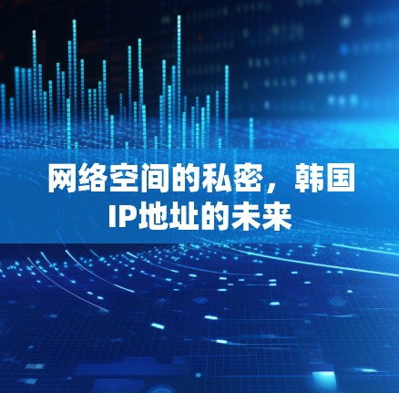 网络空间的私密，韩国IP地址的未来