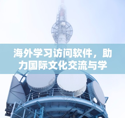 海外学习访问软件，助力国际文化交流与学习效率的提升