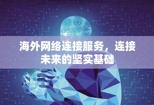 海外网络连接服务，连接未来的坚实基础