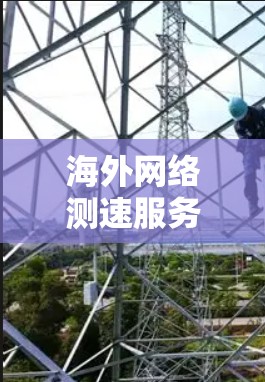 海外网络测速服务是评估网络性能的重要工具，广泛应用于网络优化、安全评估和软件测试等领域。以下是关于这些服务的详细解释