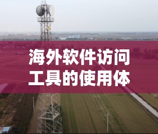 海外软件访问工具的使用体验因工具而异，因此需要根据用户的具体需求、预算和使用习惯来选择最适合自己的解决方案。以下是一些常见的海外软件访问工具及其优缺点的总结