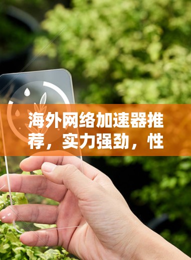 海外网络加速器推荐，实力强劲，性能超乎想象